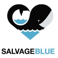 Salvage Blue