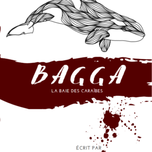 Bagga, La Baie des Caraibes par Quentin Hoerner